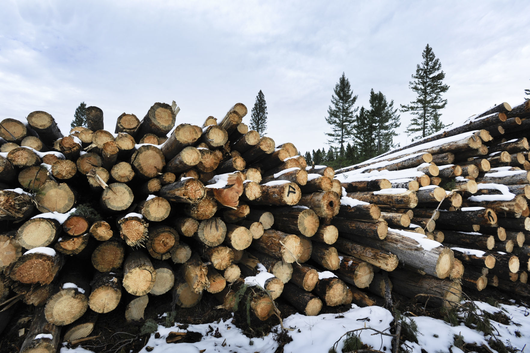 The 5,700-acre Telegraph Vegetation Project